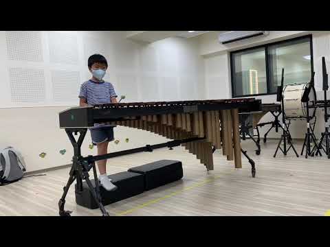 【大黃蜂的飛行 The Flight of the Bumblebee】 馬林巴木琴 Marimba 7歲 小学二年生 7 years old 7Y11M