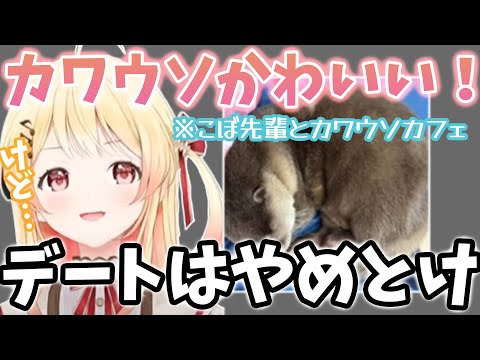 カワウソカフェがデートには向かない理由を話す奏ちゃん【音乃瀬奏/こぼ・かなえる/ホロライブ切り抜き】