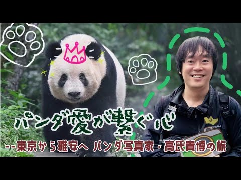 【AちゃんのChinaNow特別企画】パンダ愛が繋ぐ心--東京から雅安へ パンダ写真家・高氏貴博の旅