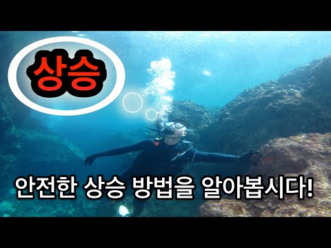 [오키나와 다이빙]  다이빙 기본스킬(상승) 핑크머메이드