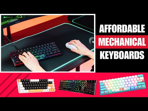 Best Budget Mechanical Keyboards - Upgrade Your Typing Game