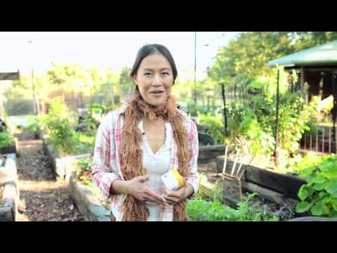 What's the deal with growing your own food?