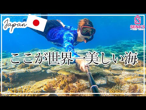 【西表島にある世界一美しい海】鳩間島＆バラス島1日シュノーケリングツアー　断言！これ以上の海は他にない！