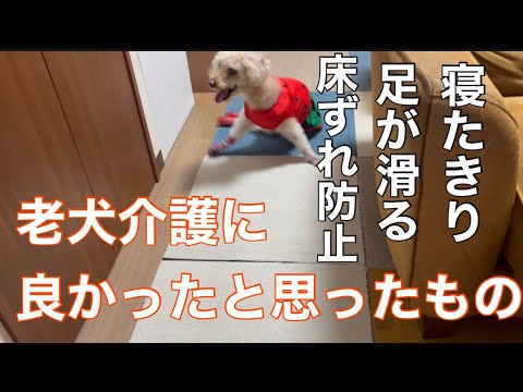 老犬介護寝たきり歩けなくなってきた老犬におすすめアイテム（床ずれ防止・すべり止め）本当によかったと思ったもの