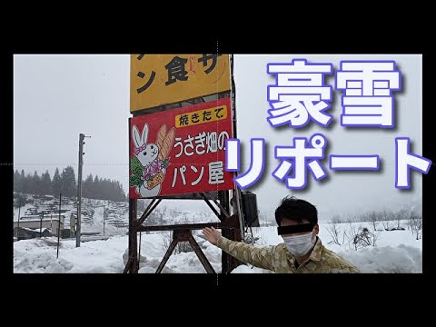 【新潟】豪雪リポート、ラーメン屋紹介【味平】