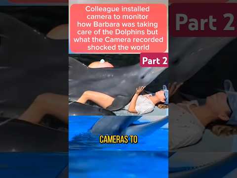 #shorts #animals #dolphin  #shark #youtubeshorts #trending #trendingshorts #viral #viralshorts