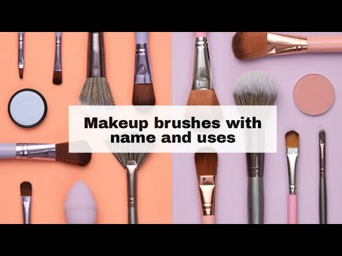 Makeup brushes and their uses/Makeup brushes for beginners/Types of make-up brushes with names