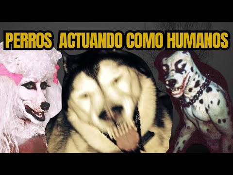 Perros que actúan de forma siniestra.