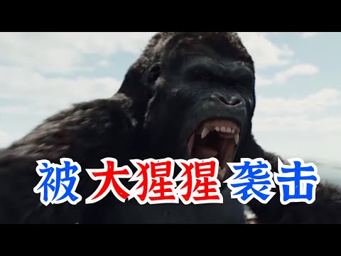 What should I do if I am attacked by a gorilla and what should I do to survive?