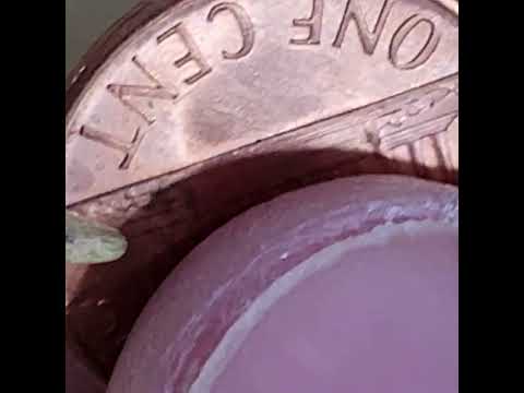 ✝️MINI BEEHIVE (DIE-CHIP) WITH A DIE CLASH🤯CLICK BELOW TO WATCH LONG VERSION #334 #PENNIES