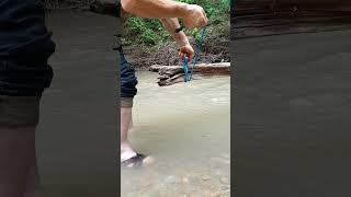 i make a knot a dried tree in the river #knot #shorts1 #nature #rope