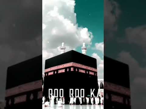 ramzaan taraweeh stetus 🥰🥰🤲 ramzaan stetus#allah 🤲 #islamic #shortvideo #ytshorts #trend