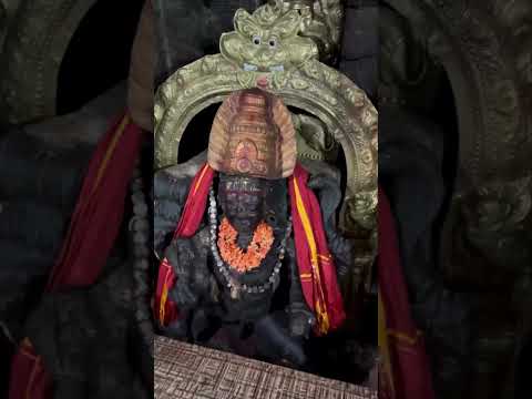 Kolaramma Temple The Ancient Powerhouse of the 1500-Year-Old #devi #ancienttemple #scorpion #shorts