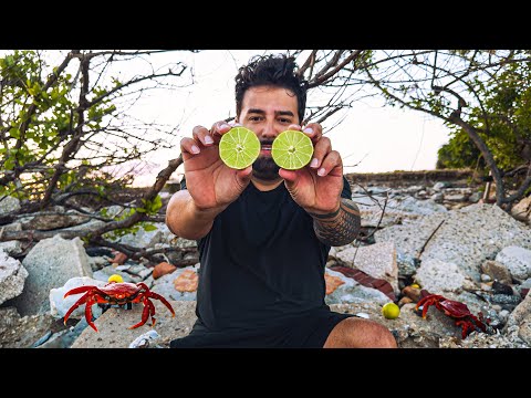 Crab Fishing, Catching and Eating Oyster with Lemon