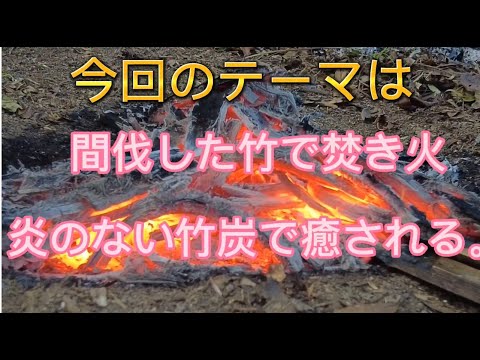 Vol.012_あんずの別荘キレイにするワン〔癒し系動画?間伐竹、朽竹の炎/竹炭の火で癒される?〕20221030