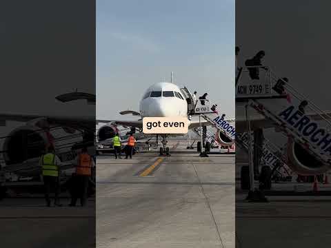 Influencer serves Tea on Indigo Flight