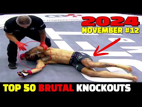 Top 50 Brutal Knockouts November 2024 #12 (MMA•Muay Thai•Boxing•Kickboxing)