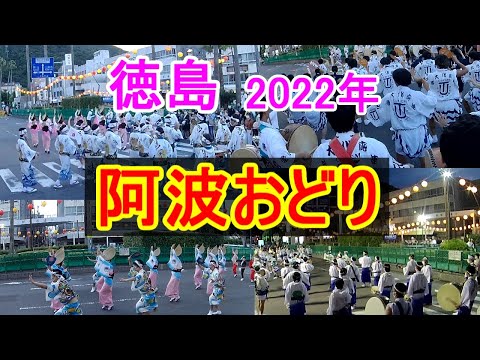 【夏祭り】　葵連、阿波鳴連、レレレの連、鳴響連、菊水連、化応連、無双連、藍響連、阿波連、酔狂連、にわか連、松空連、かもめ連、阿呆連　の演舞（踊り／演奏）です。【おじちゃん と おばちゃん の旅行】