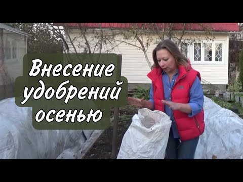 Какие удобрения вносить на грядки осенью, чтобы в следующем сезоне быть с урожаем | Сад для души