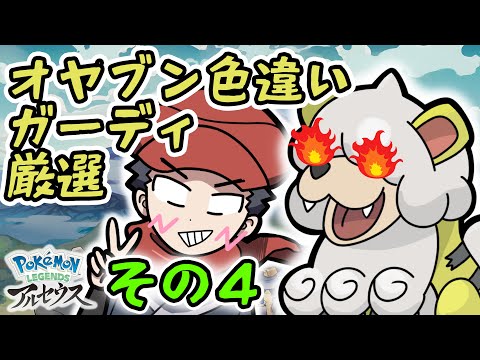 オヤブン色違いガーディ厳選ガチでやる配信その４【Pokémon LEGENDS アルセウス】