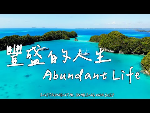 Abundant Life | Soaking Music | Piano Music | Prayer Music | 1 HOUR Instrumental Soaking Worship