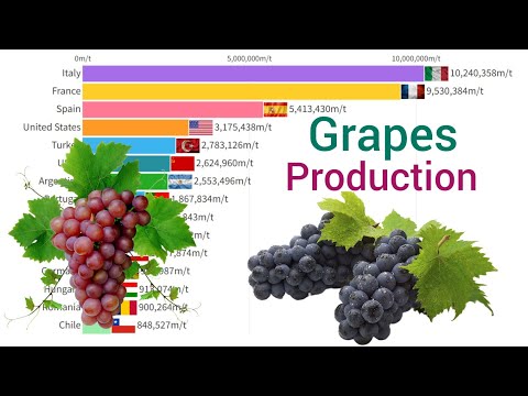 World's Largest Grapes Production Country 1961 - 2023