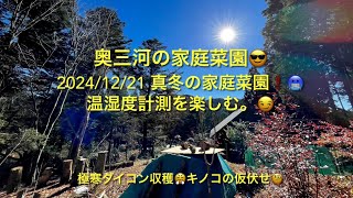 2024/12/21 奥三河の家庭菜園😎真冬の家庭菜園❗️🥶温湿度計測を楽しむ。極寒ダイコン収穫😤キノコの仮伏せ🧐#きのこ栽培 #ホダ木 #家庭菜園