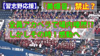 【習志野応援】アカペラ演出の「仕掛け美爆音」と思いきや球場照明点灯時の鳴り物禁止規定に対応する応援のレベルの高さに称賛！｜2024年夏の甲子園千葉大会３回戦！