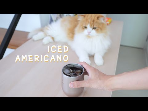 รสชาติ ทาสแมว - Iced Americano