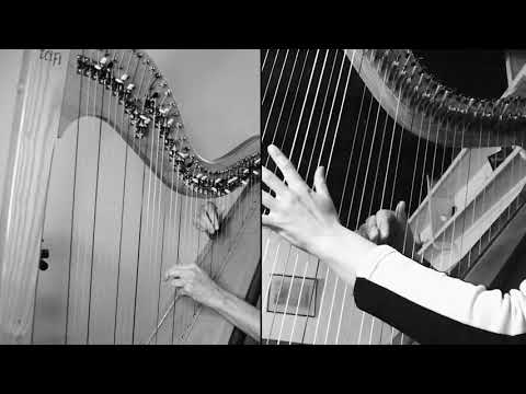 Marwnad Yr Ehedydd (long-distance Celtic harp duet!)