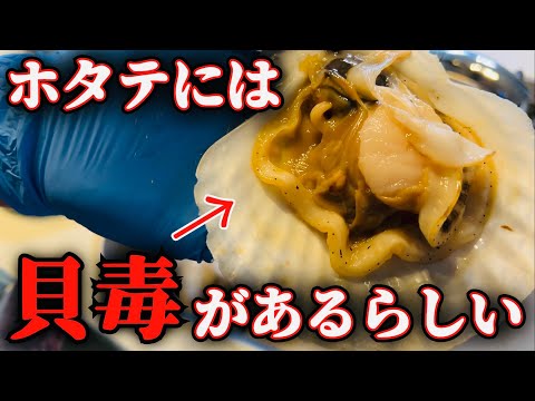 【焼いてもダメ】ホタテ貝には毒がある。