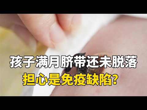 孩子满月脐带还未脱落担心是免疫缺陷？先想想是否常做这件事