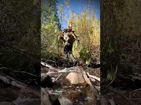 Heavy elk pack out in September elk season. Where does hunting take you?