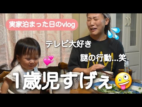 【年子育児】テレビ大好き1歳娘...謎行動が多くて爆笑🤪次女ちゃんの成長を見せに実家へ🌱