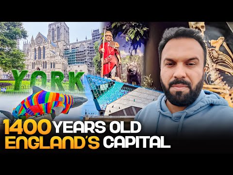 1400 Years old Capital of England 🇬🇧 The Deep Aquarium 🦈 JORVIK Viking Centre Museum