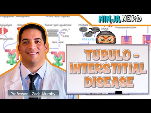 Tubulointerstitial Disease | Clinical Medicine