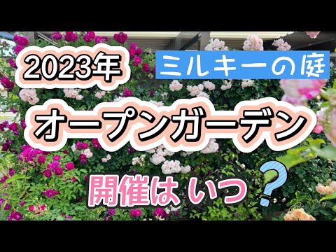 ミルキーの庭🌹2023年のオープンガーデンについて