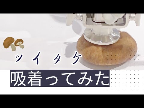 【吸着ってみた】シイタケ【コンバム】