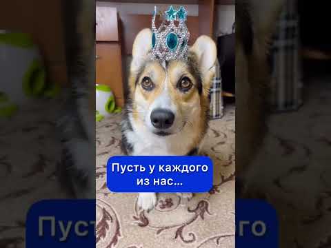 ПУСТЬ У КАЖДОГО ИЗ НАС ПРОСТО БУДЕТ….