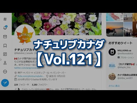 【切り抜き】ナチュリブカナダ【Vol.121】