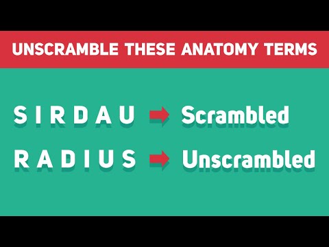 Unscramble The Anatomy Medical Terms?