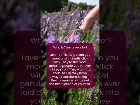 Who Is Your Lavender?