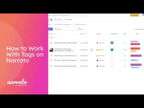 How to Work With Tags on Narrato