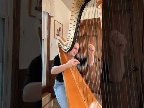 The best thing about practicing Etudes? #harp #hcpracticechallenge