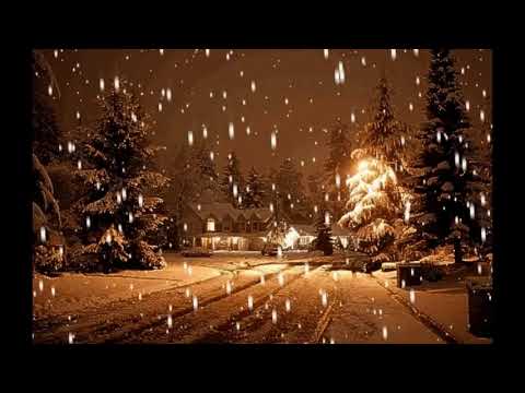 netverk - LastクリスマスXMAS