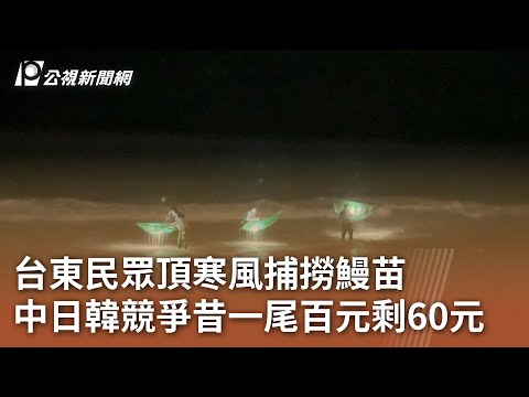 台東民眾頂寒風捕撈鰻苗 中日韓競爭昔一尾百元剩60元 ｜20241224 公視中晝新聞