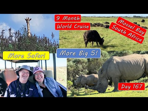 South Africa Safari – Rinos, Giraffe, Cape Buffalo, Lions and more!