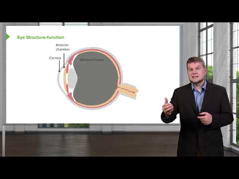 Vision Structure and Function of the Eye