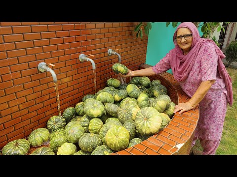 PUMPKIN RECIPE By Granny | VILLAGE FOOD | कद्दू की रेसिपी | ASMR COOKING | VILLAGE COOKING