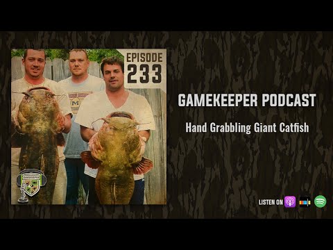 EP:233 | Hand Grabbling Giant Catfish